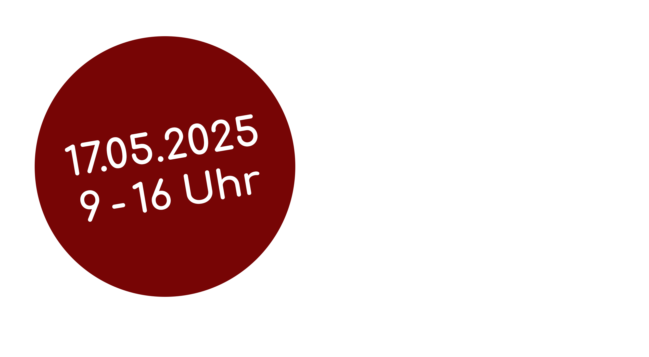 Störer-zweirad-henel-3